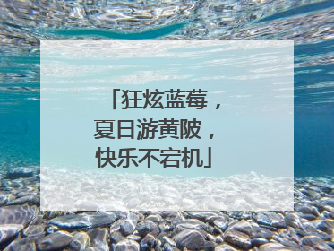 狂炫蓝莓，夏日游黄陂，快乐不宕机