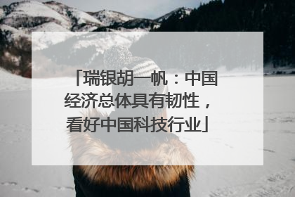 瑞银胡一帆：中国经济总体具有韧性，看好中国科技行业