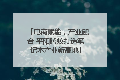 电商赋能，产业融合 平阳腾蛟打造笔记本产业新高地