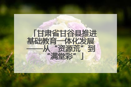 甘肃省甘谷县推进基础教育一体化发展——从“资源荒”到“满堂彩”