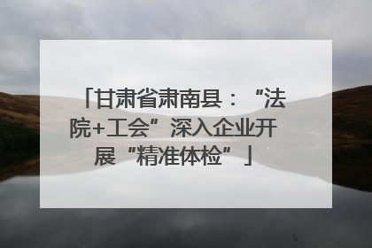 甘肃省肃南县:“法院+工会”深入企业开展“精准体检”
