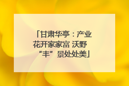 甘肃华亭：产业花开家家富 沃野“丰”景处处美