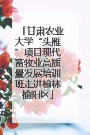 甘肃农业大学“头雁”项目现代畜牧业高质量发展培训班走进榆林榆阳区