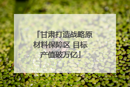 甘肃打造战略原材料保障区 目标产值破万亿