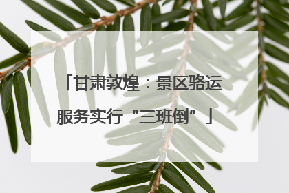 甘肃敦煌：景区骆运服务实行“三班倒”