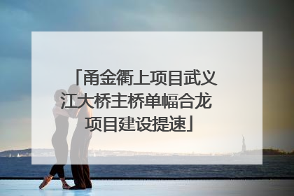 甬金衢上项目武义江大桥主桥单幅合龙 项目建设提速