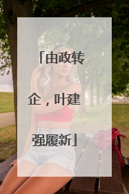 由政转企，叶建强履新