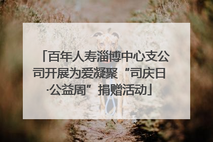 百年人寿淄博中心支公司开展为爱凝聚“司庆日·公益周”捐赠活动