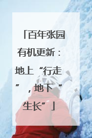 百年张园有机更新：地上“行走”，地下“生长”