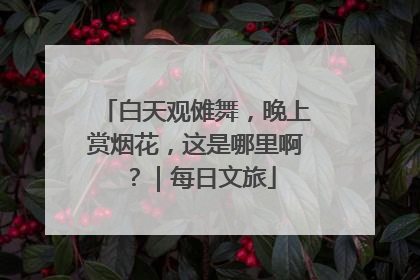白天观傩舞，晚上赏烟花，这是哪里啊？｜每日文旅