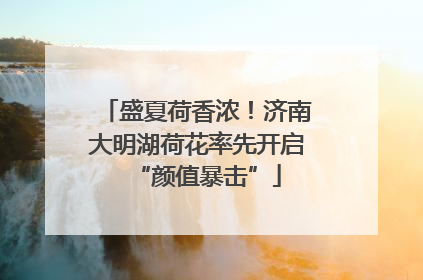 盛夏荷香浓！济南大明湖荷花率先开启“颜值暴击”