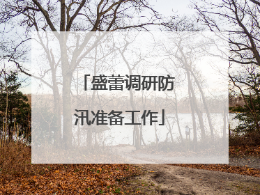 盛蕾调研防汛准备工作