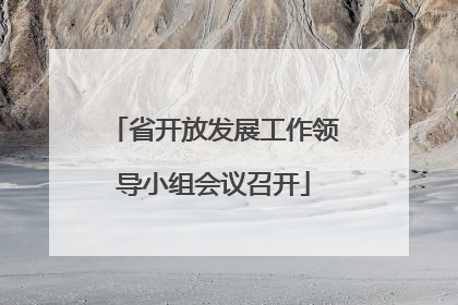 省开放发展工作领导小组会议召开