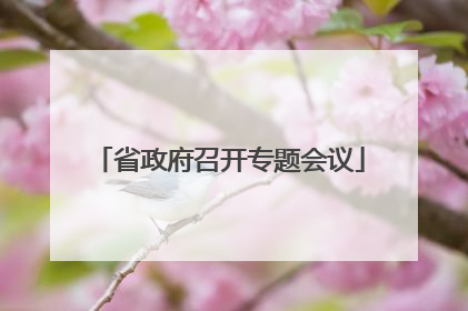 省政府召开专题会议
