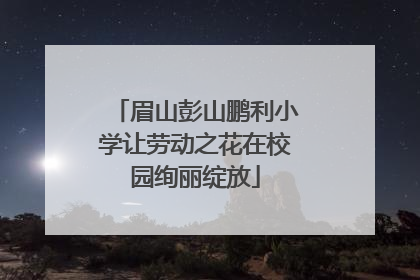 眉山彭山鹏利小学让劳动之花在校园绚丽绽放