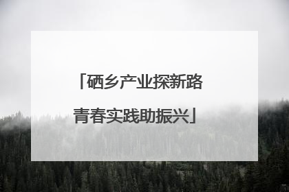 硒乡产业探新路 青春实践助振兴