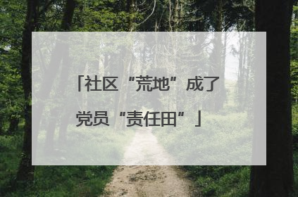 社区“荒地”成了党员“责任田”