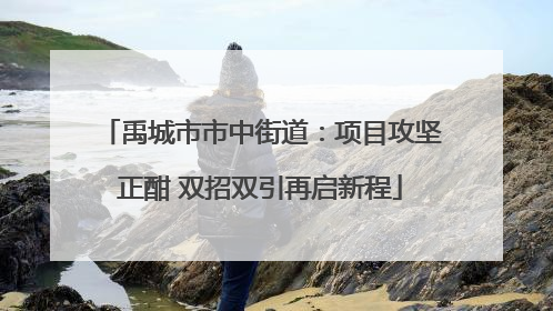 禹城市市中街道：项目攻坚正酣 双招双引再启新程