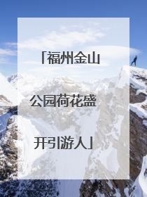 福州金山公园荷花盛开引游人