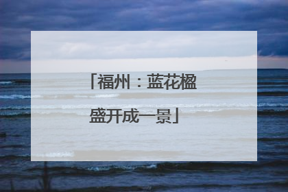 福州：蓝花楹盛开成一景