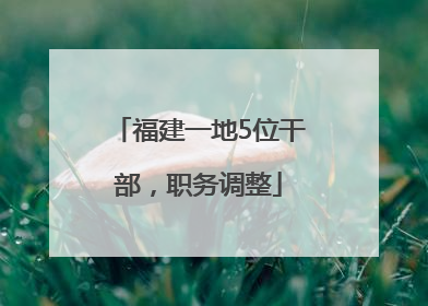 福建一地5位干部，职务调整