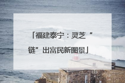 福建泰宁：灵芝“链”出富民新图景