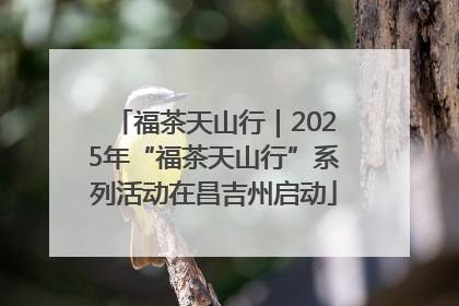 福茶天山行｜2025年“福茶天山行”系列活动在昌吉州启动