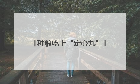 种粮吃上“定心丸”