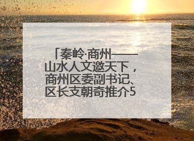 秦岭·商州——山水人文邀天下，商州区委副书记、区长支朝奇推介5个重点招商项目