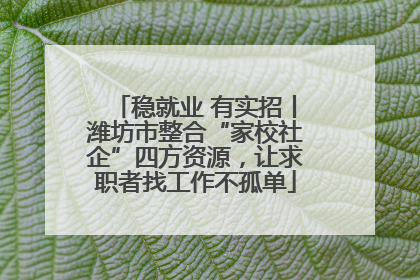 稳就业 有实招丨潍坊市整合“家校社企”四方资源，让求职者找工作不孤单