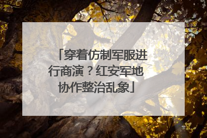 穿着仿制军服进行商演？红安军地协作整治乱象