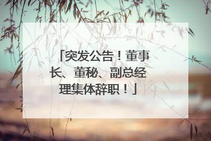 突发公告！董事长、董秘、副总经理集体辞职！