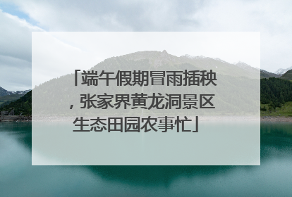 端午假期冒雨插秧，张家界黄龙洞景区生态田园农事忙