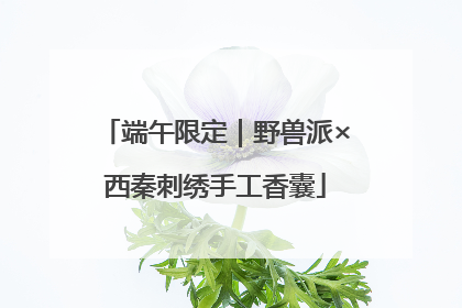 端午限定｜野兽派×西秦刺绣手工香囊