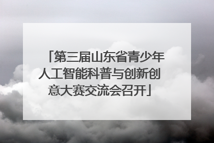 第三届山东省青少年人工智能科普与创新创意大赛交流会召开