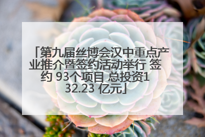 第九届丝博会汉中重点产业推介暨签约活动举行 签约 93个项目 总投资132.23 亿元