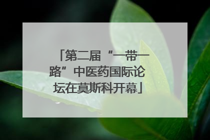 第二届“一带一路”中医药国际论坛在莫斯科开幕