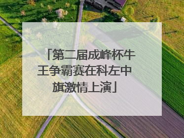 第二届成峰杯牛王争霸赛在科左中旗激情上演