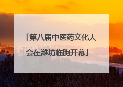 第八届中医药文化大会在潍坊临朐开幕