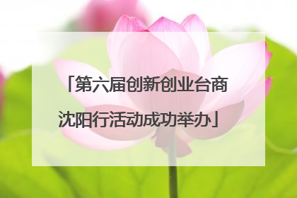 第六届创新创业台商沈阳行活动成功举办