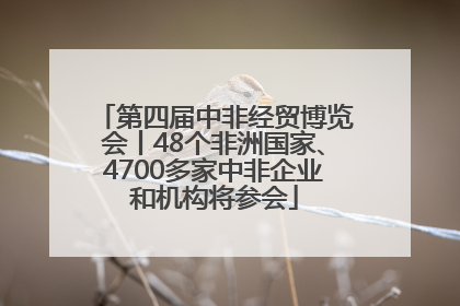 第四届中非经贸博览会丨48个非洲国家、4700多家中非企业和机构将参会