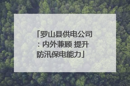 罗山县供电公司：内外兼顾 提升防汛保电能力