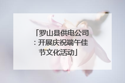 罗山县供电公司：开展庆祝端午佳节文化活动