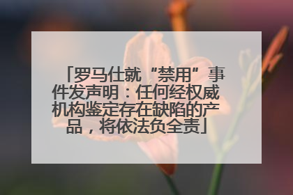 罗马仕就“禁用”事件发声明：任何经权威机构鉴定存在缺陷的产品，将依法负全责
