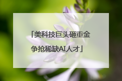 美科技巨头砸重金争抢稀缺AI人才