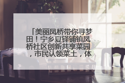 美丽凤桥带你寻梦田！宁乡夏铎铺镇凤桥社区创新共享菜园，市民认领菜土，体验耕种收获乐趣