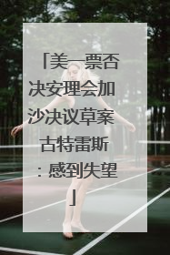 美一票否决安理会加沙决议草案 古特雷斯：感到失望