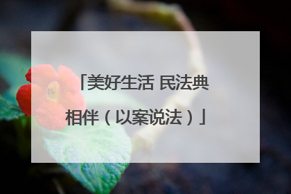 美好生活 民法典相伴（以案说法）