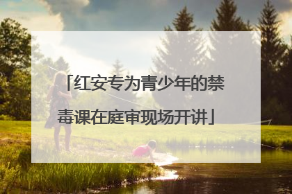红安专为青少年的禁毒课在庭审现场开讲