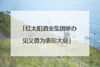 红太阳酒业集团举办见义勇为表彰大会